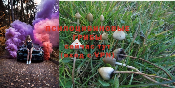 МДПВ Переславль-Залесский