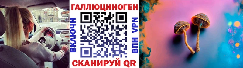 Псилоцибиновые грибы GOLDEN TEACHER  Купить где  Артём 